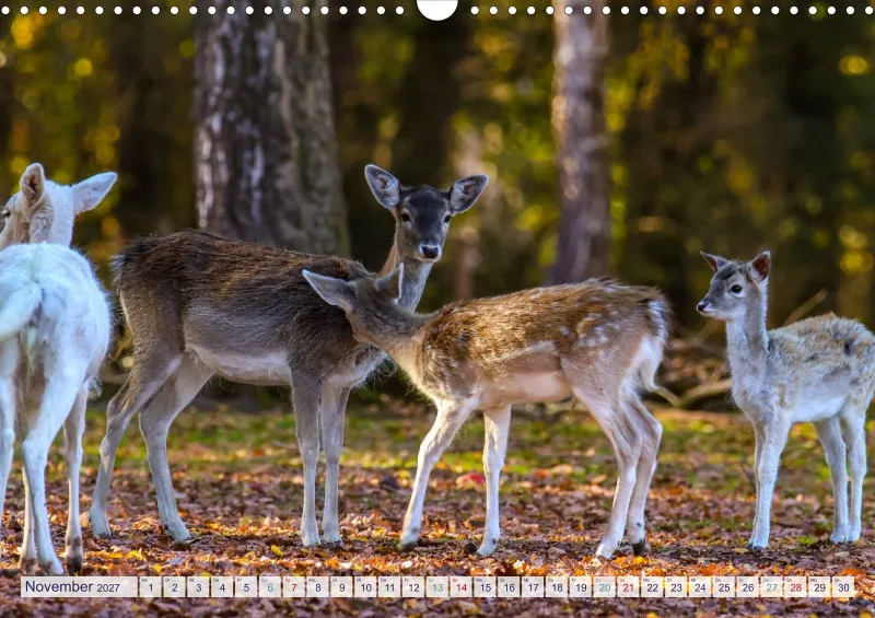 Naturkalender 2027