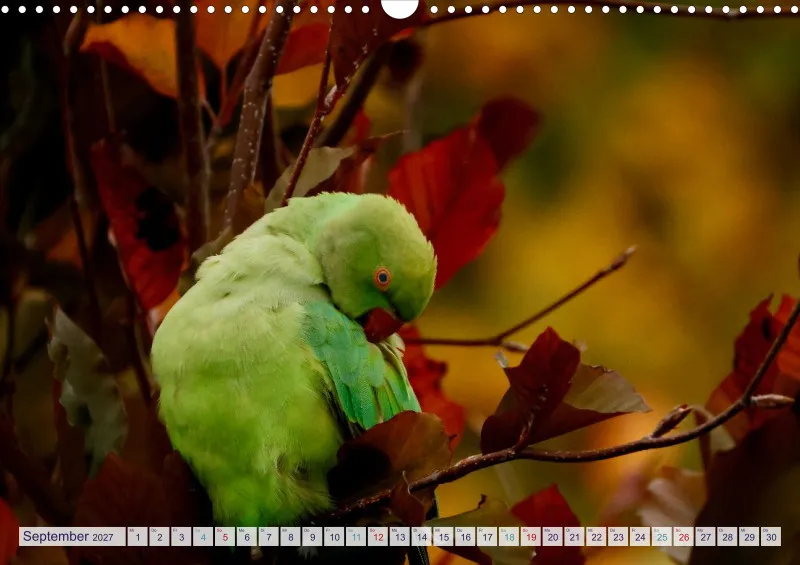 Naturkalender 2027