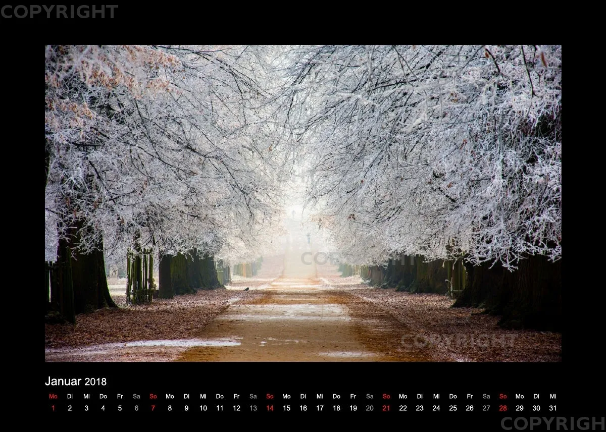 Fotokalender / Nr. 7