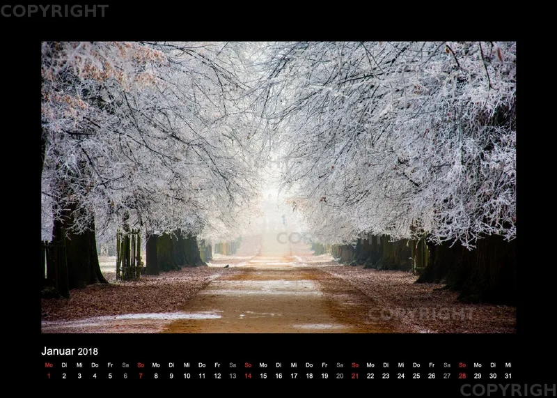 Fotokalender / Nr. 7