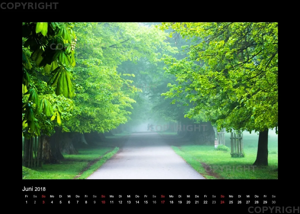 Fotokalender / Nr. 7
