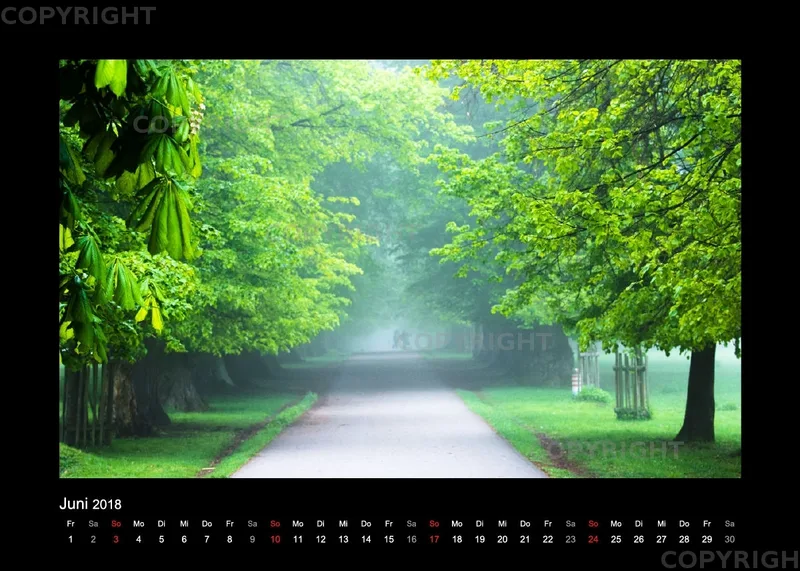 Fotokalender / Nr. 7