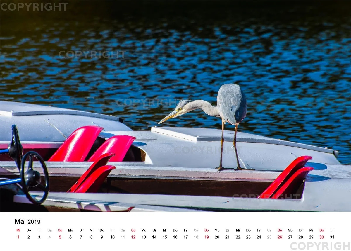 Tischkalender / Graureiher Erwin