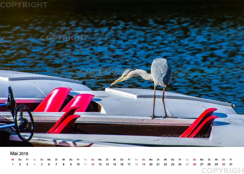 Tischkalender / Graureiher Erwin