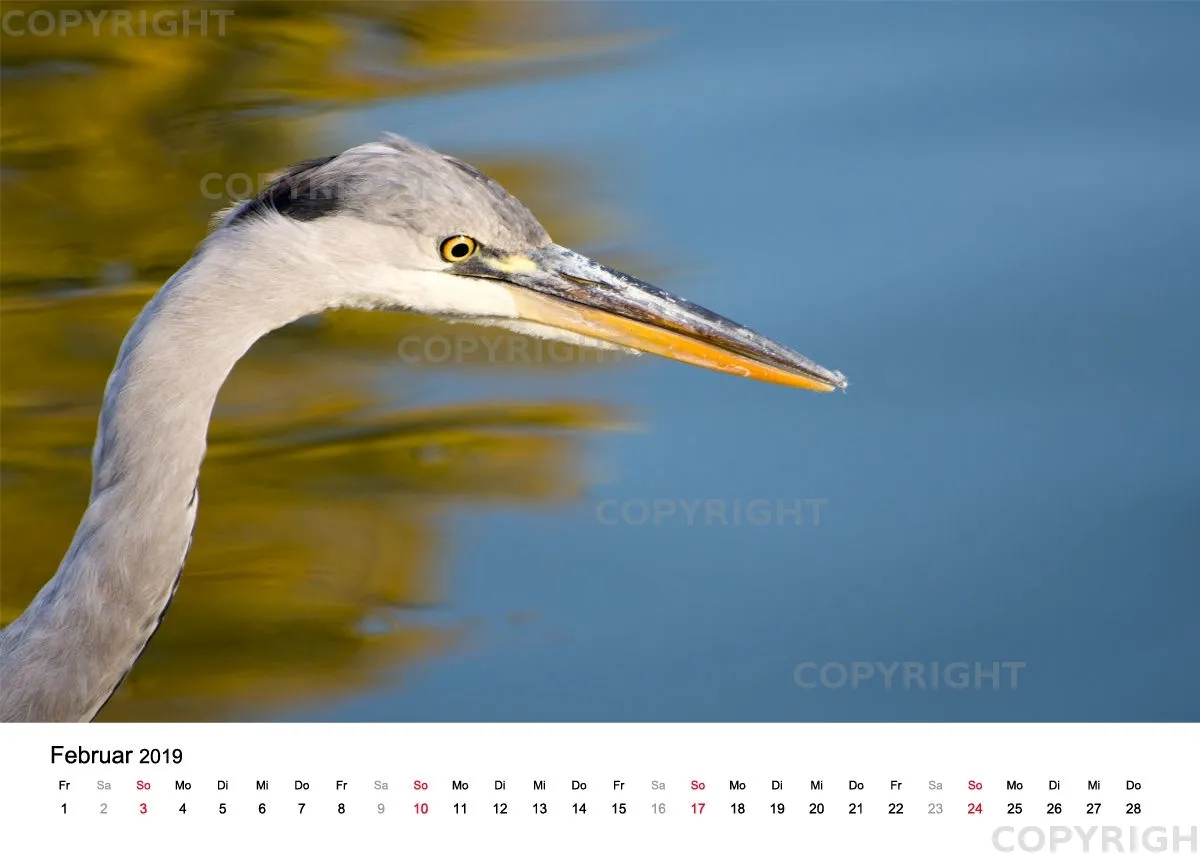 Tischkalender / Graureiher Erwin