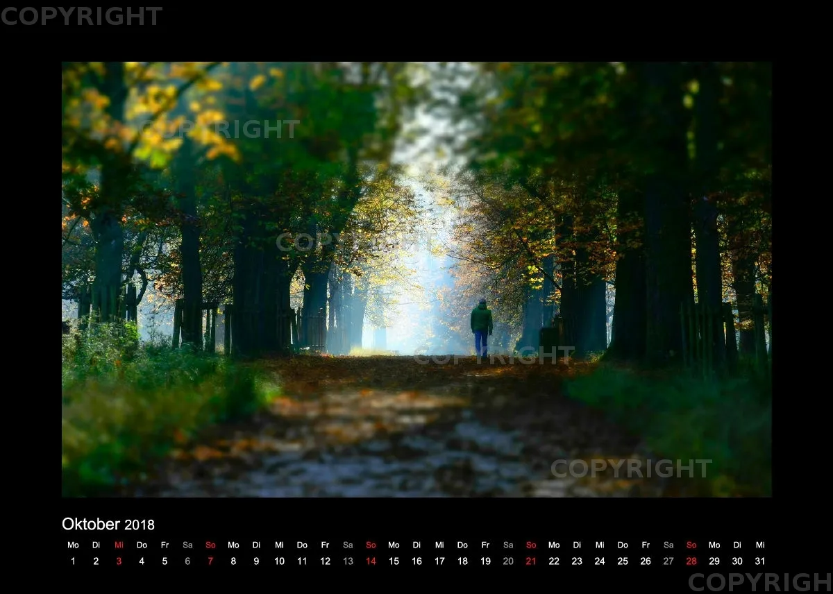 Fotokalender / Nr. 7