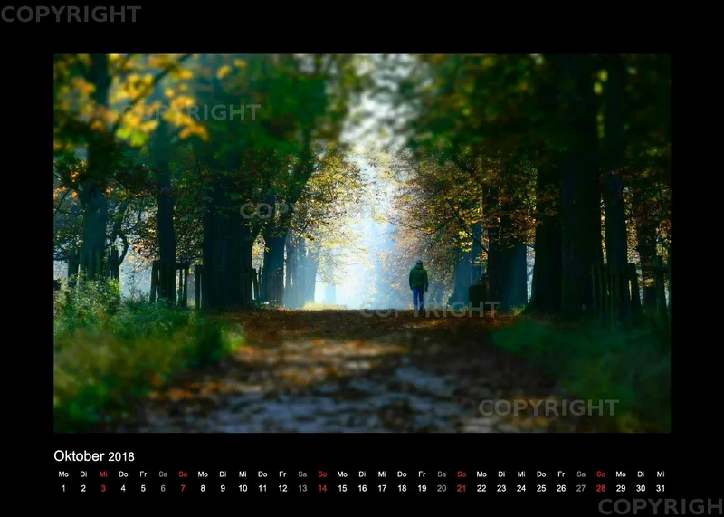 Fotokalender / Nr. 7