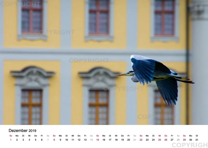 Tischkalender / Graureiher Erwin