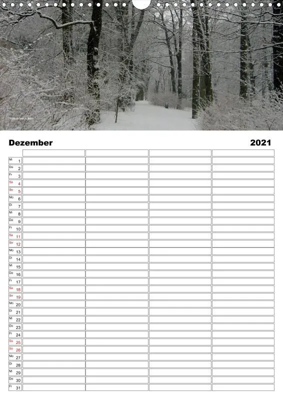 Familienkalender 2021 A3 4 Spalten