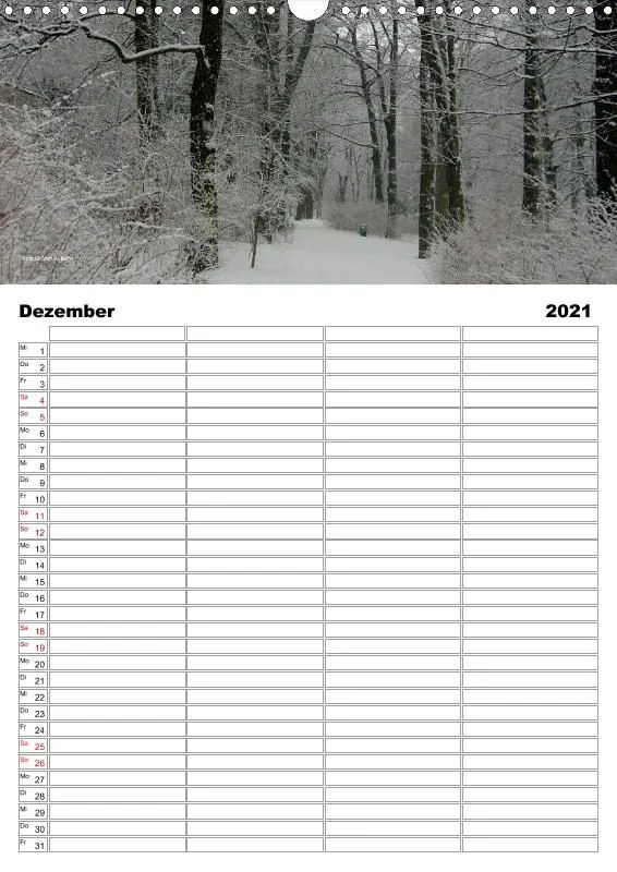 Familienkalender 2021 A3 4 Spalten