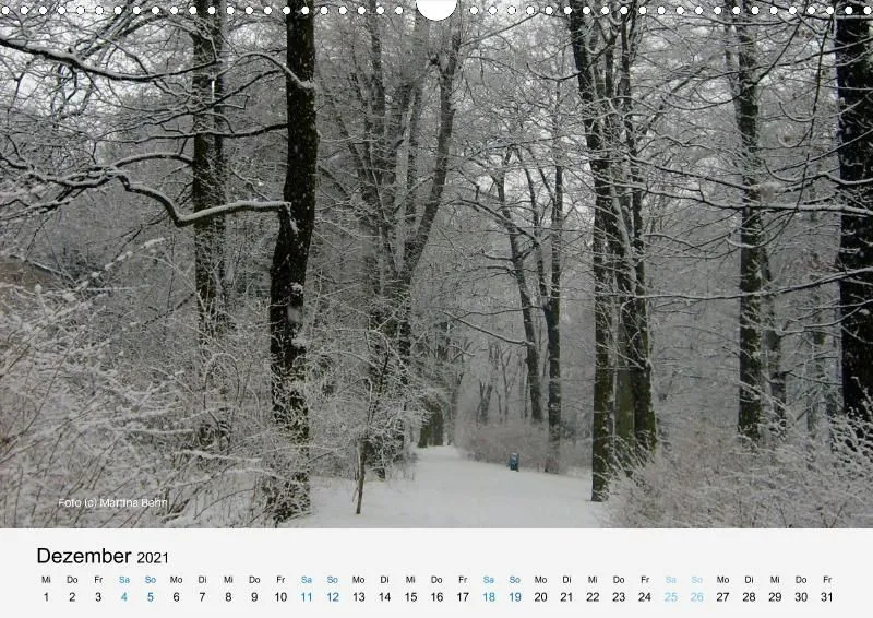 FOO Kalender A 3 quer 2021