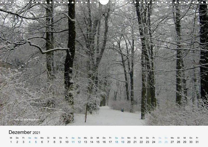 FOO Kalender A 3 quer 2021