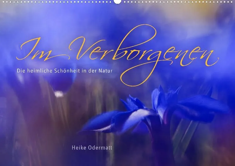 Im Verborgenen 2021