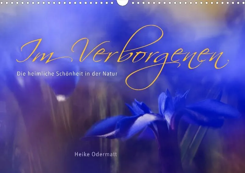 Im Verborgenen 2021