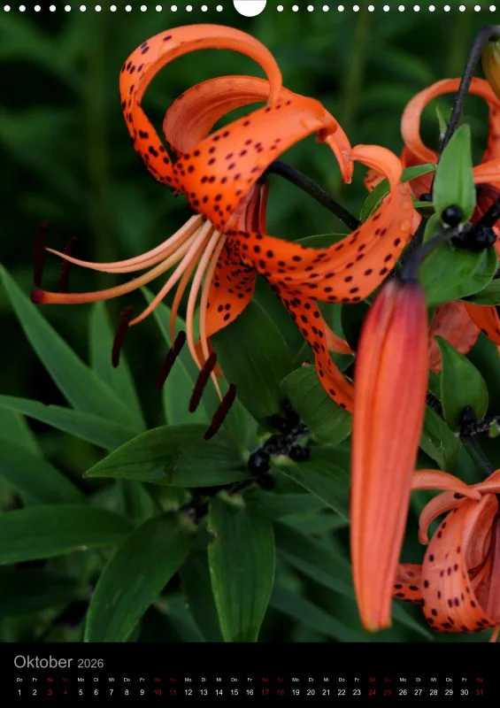 Blumen_2