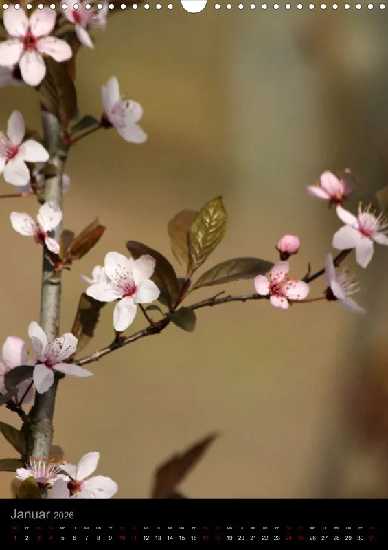Blumen_1