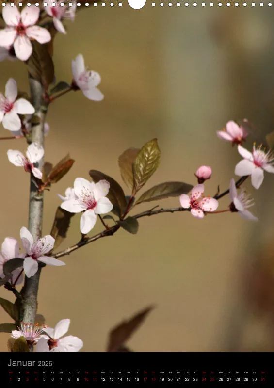Blumen_1