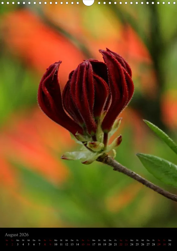 Blumen_5