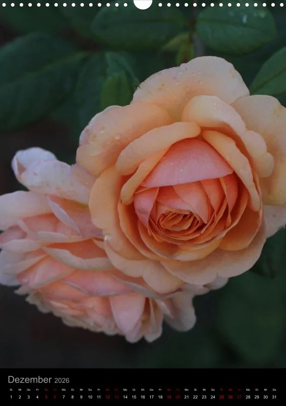 Blumen_2