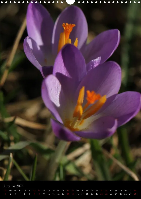 Blumen_3