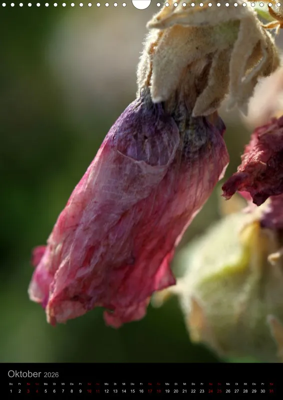 Blumen_1