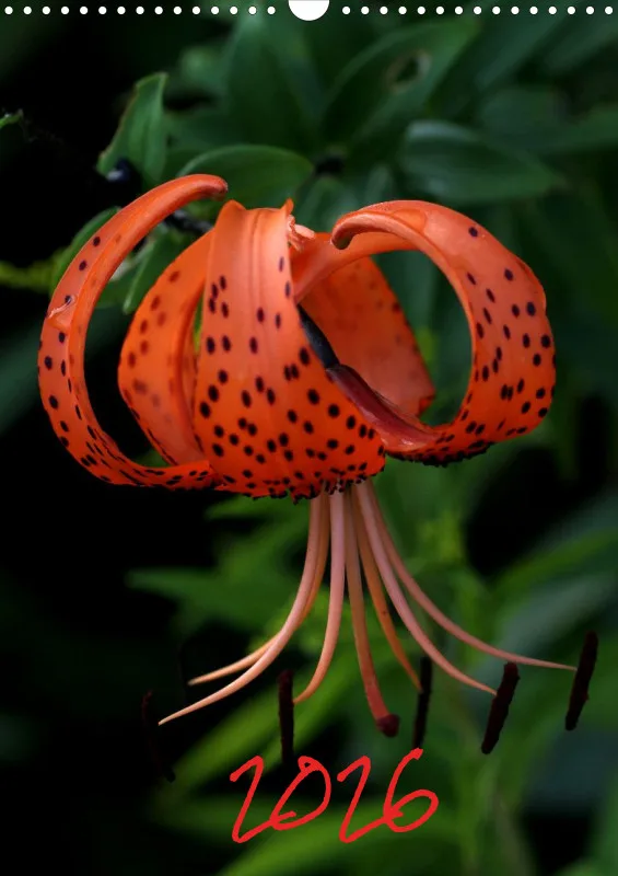 Blumen_1