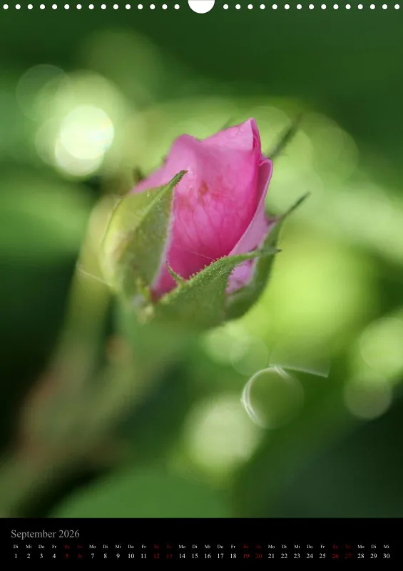 Blumen_3