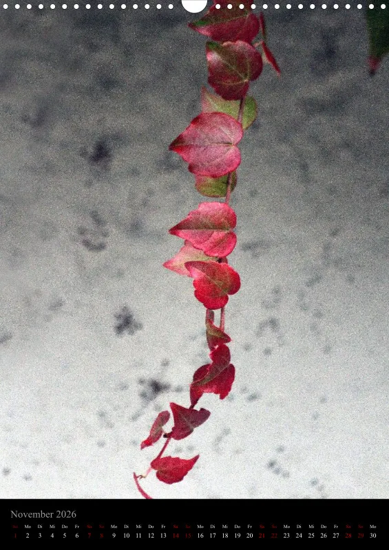 Blumen_5