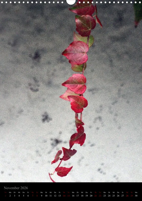 Blumen_5