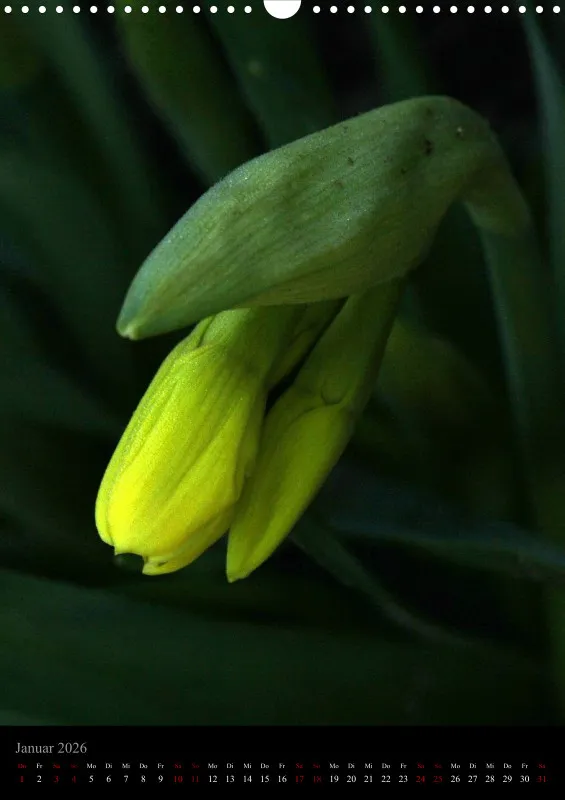 Blumen_3