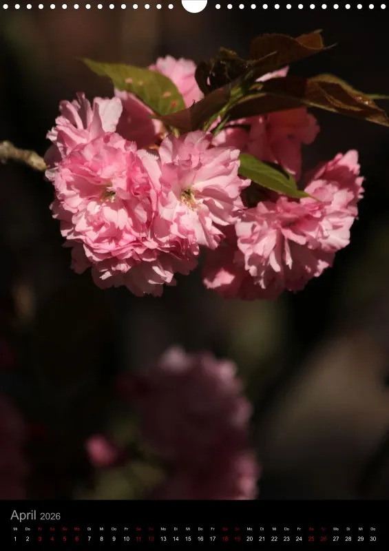 Blumen_1