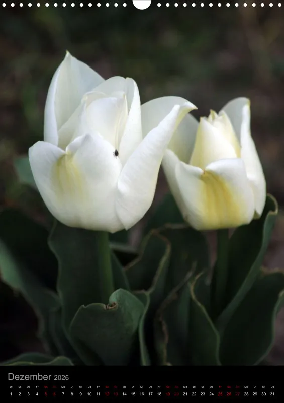 Blumen_1