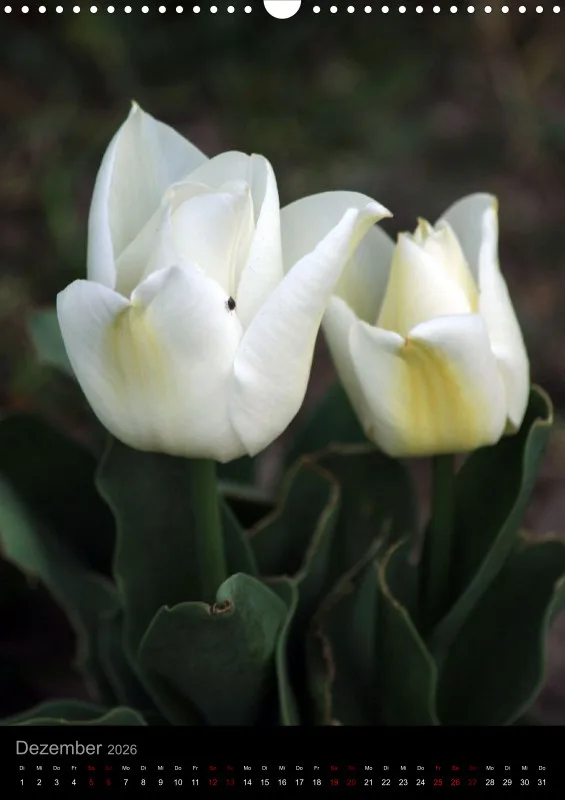 Blumen_1