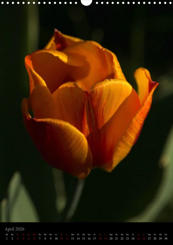 Blumen_5