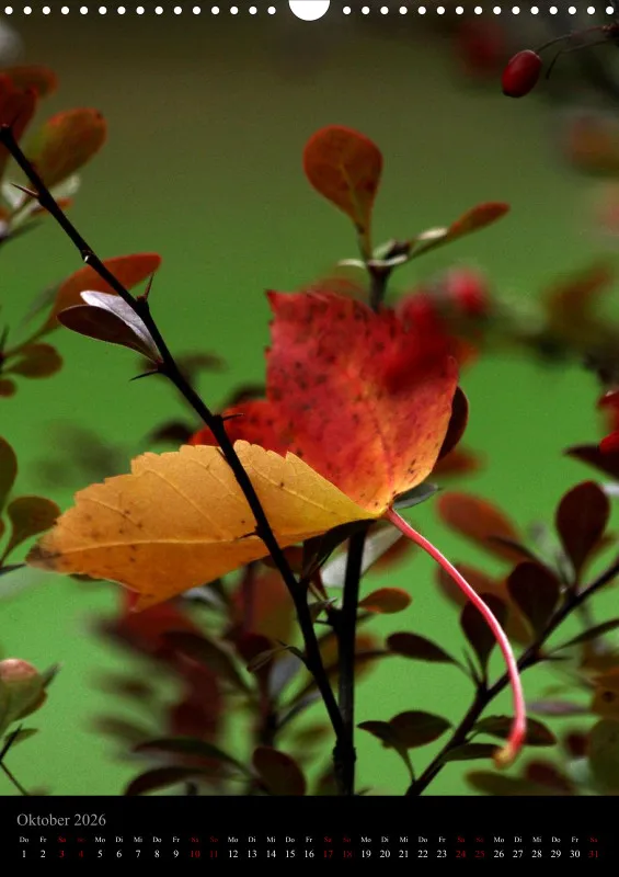 Blumen_5