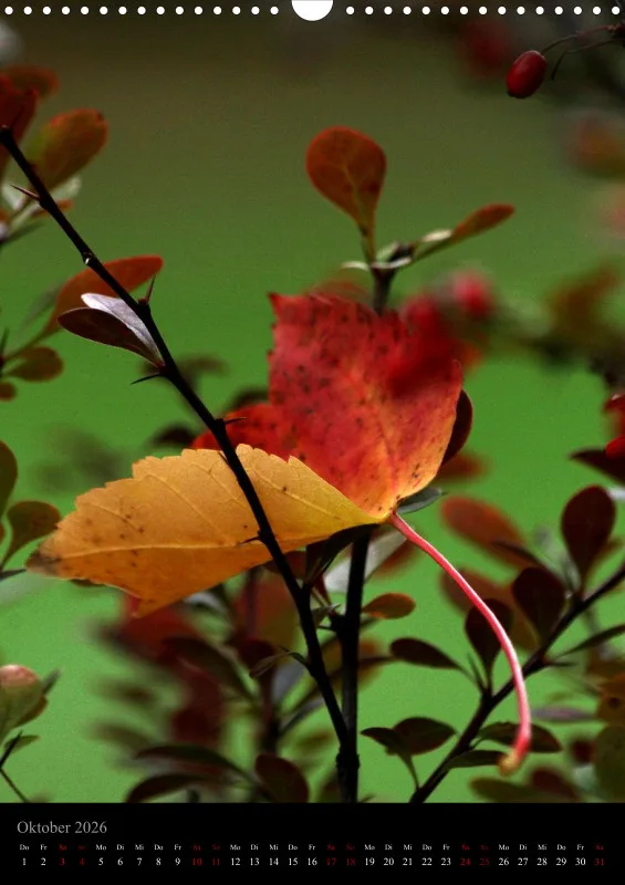Blumen_5