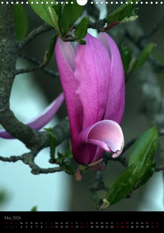 Blumen_5