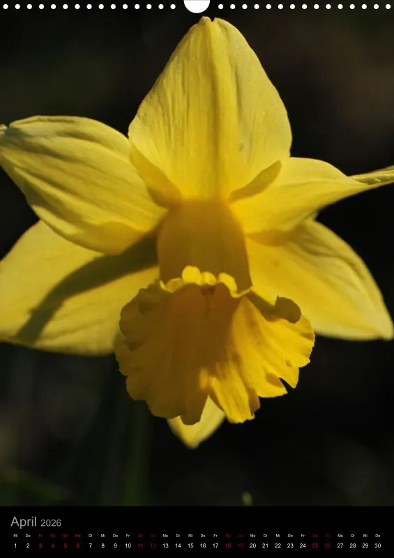 Blumen_2