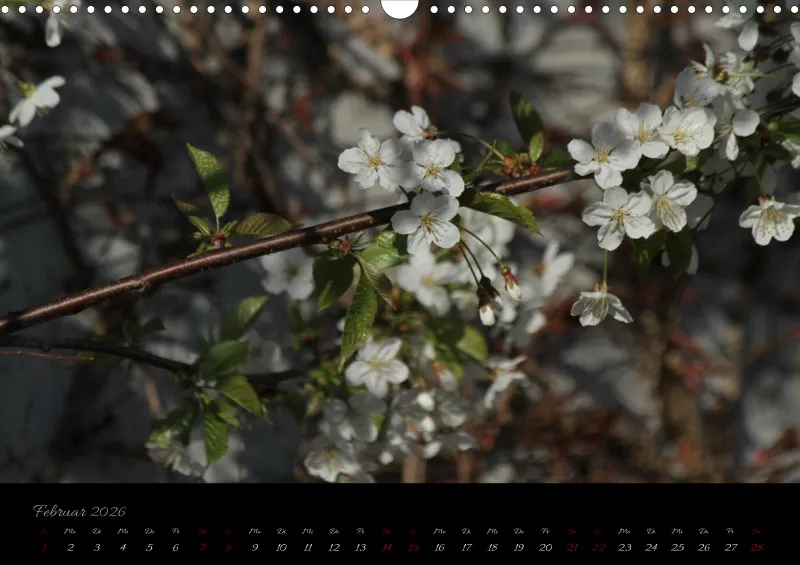 Blumen_4