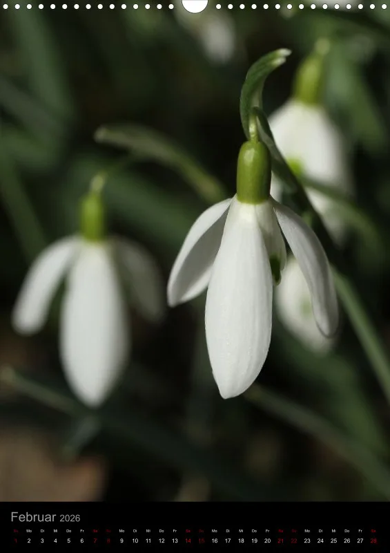 Blumen_2