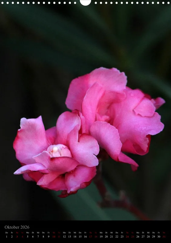 Blumen_3