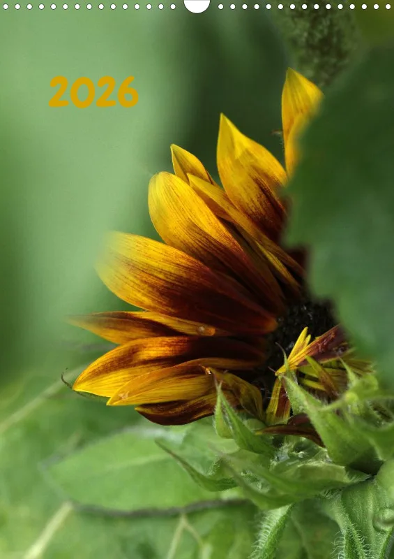 Blumen_3