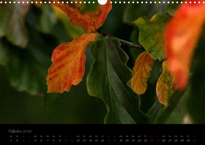 Blumen_4