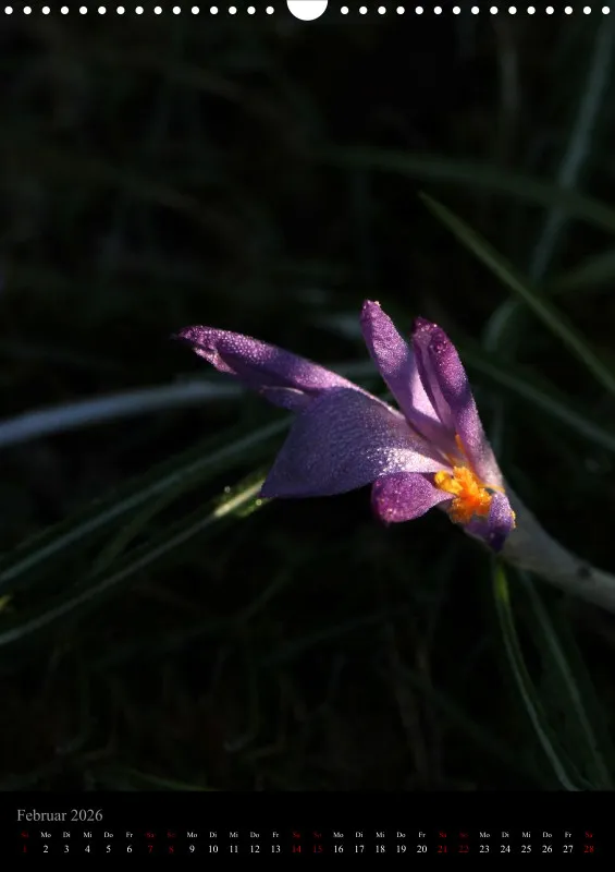 Blumen_5