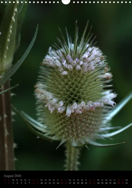 Blumen_3