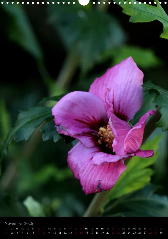 Blumen_3
