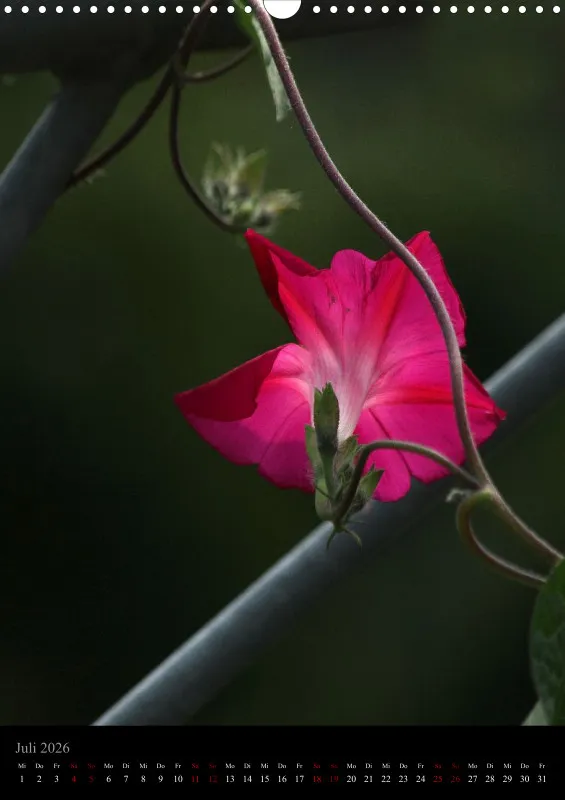 Blumen_3