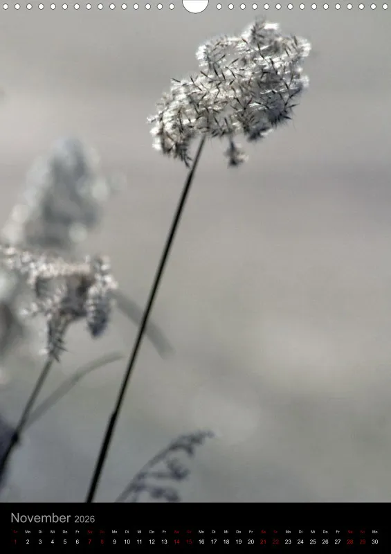 Blumen_2