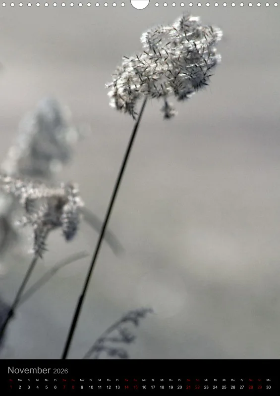 Blumen_2