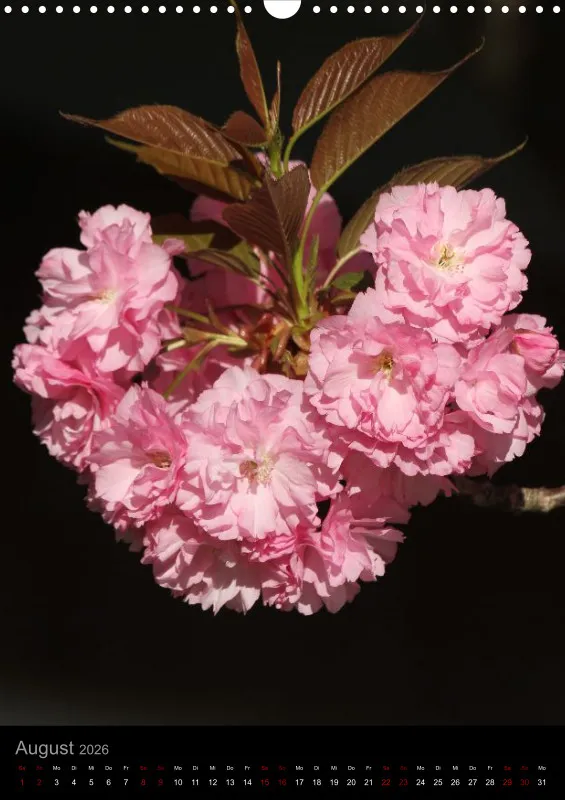 Blumen_2